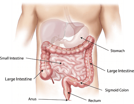 peptic ulcer_NHT