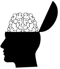 epilepsy surgery