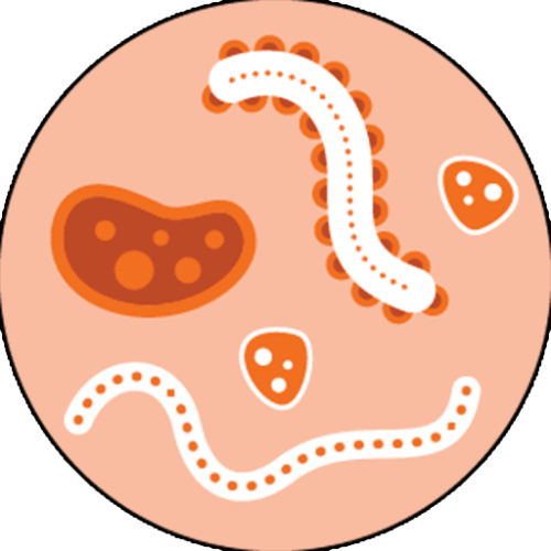 Syphilis: Signs and Symptoms