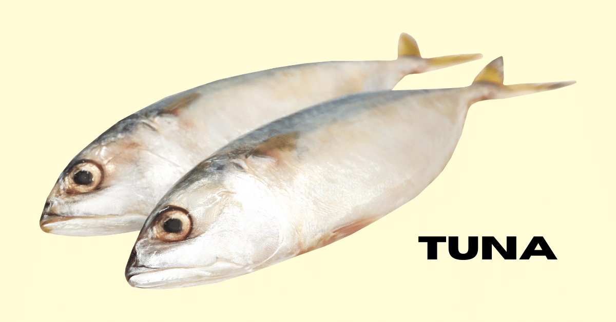 proteins sources- tuna