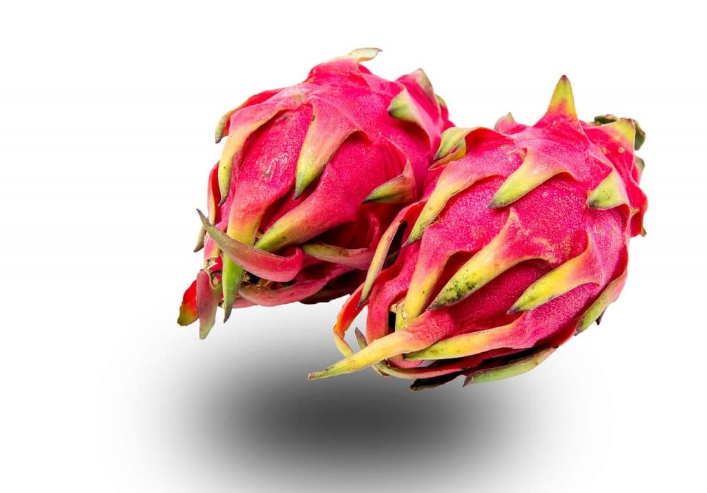Dragon fruit